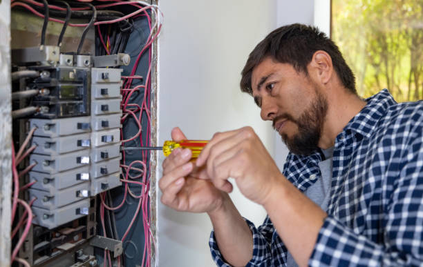 Best Electric Panel Repair  in Pleasureville, KY